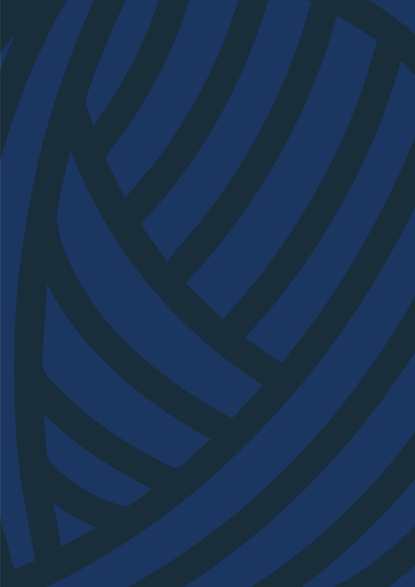 texture pomera 2.jpeg