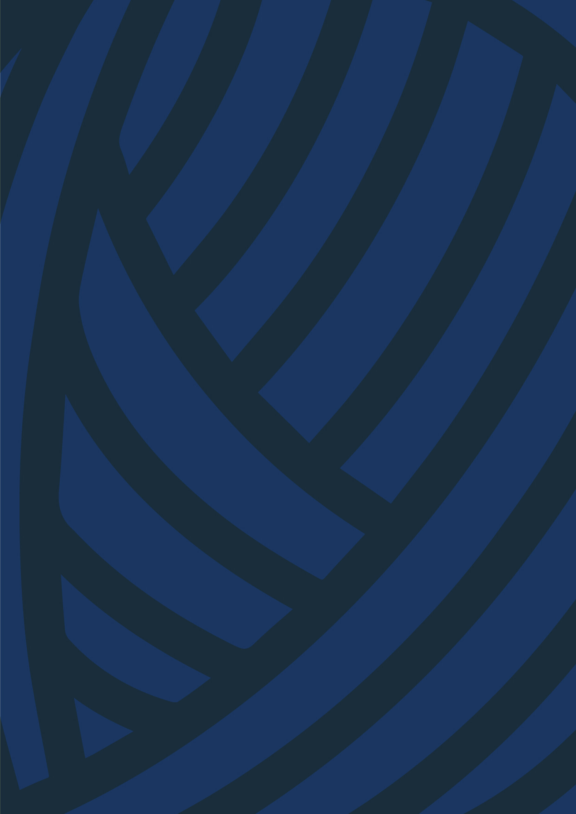 texture pomera 2.jpeg