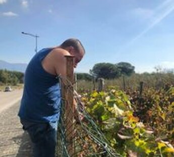 289438139_756969135750851_5336650447089517615_n.jpeg 289438139_756969135750851_5336650447089517615_n.jpeg