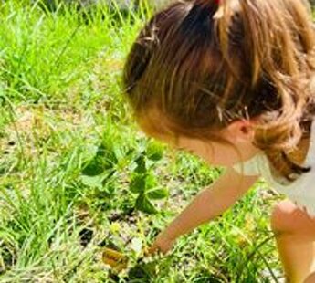 374441767_614389887564230_6072109284616698999_n.jpeg 374441767_614389887564230_6072109284616698999_n.jpeg