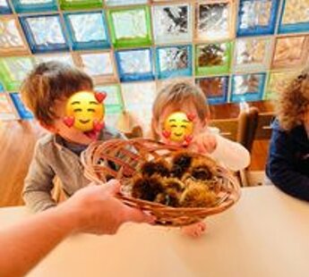 291047702_760192522095179_5793163895976793054_n.jpeg 291047702_760192522095179_5793163895976793054_n.jpeg