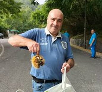 299120827_389431953312023_2353502264008948961_n.jpeg 299120827_389431953312023_2353502264008948961_n.jpeg