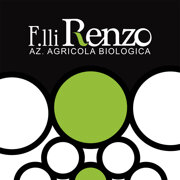 renzo
