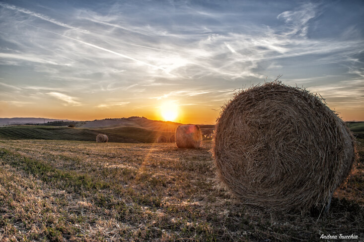 Vacanze in Toscana mare e colline