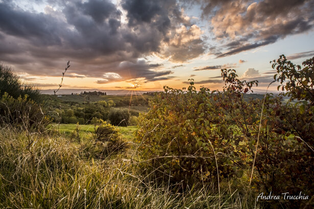 Certaldo Alto vista dal Parco di Canonica