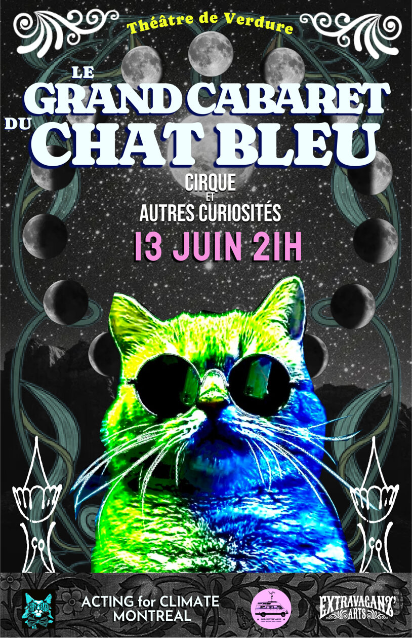 poster chat bleu tdv_2026_11x17 copie.jpeg