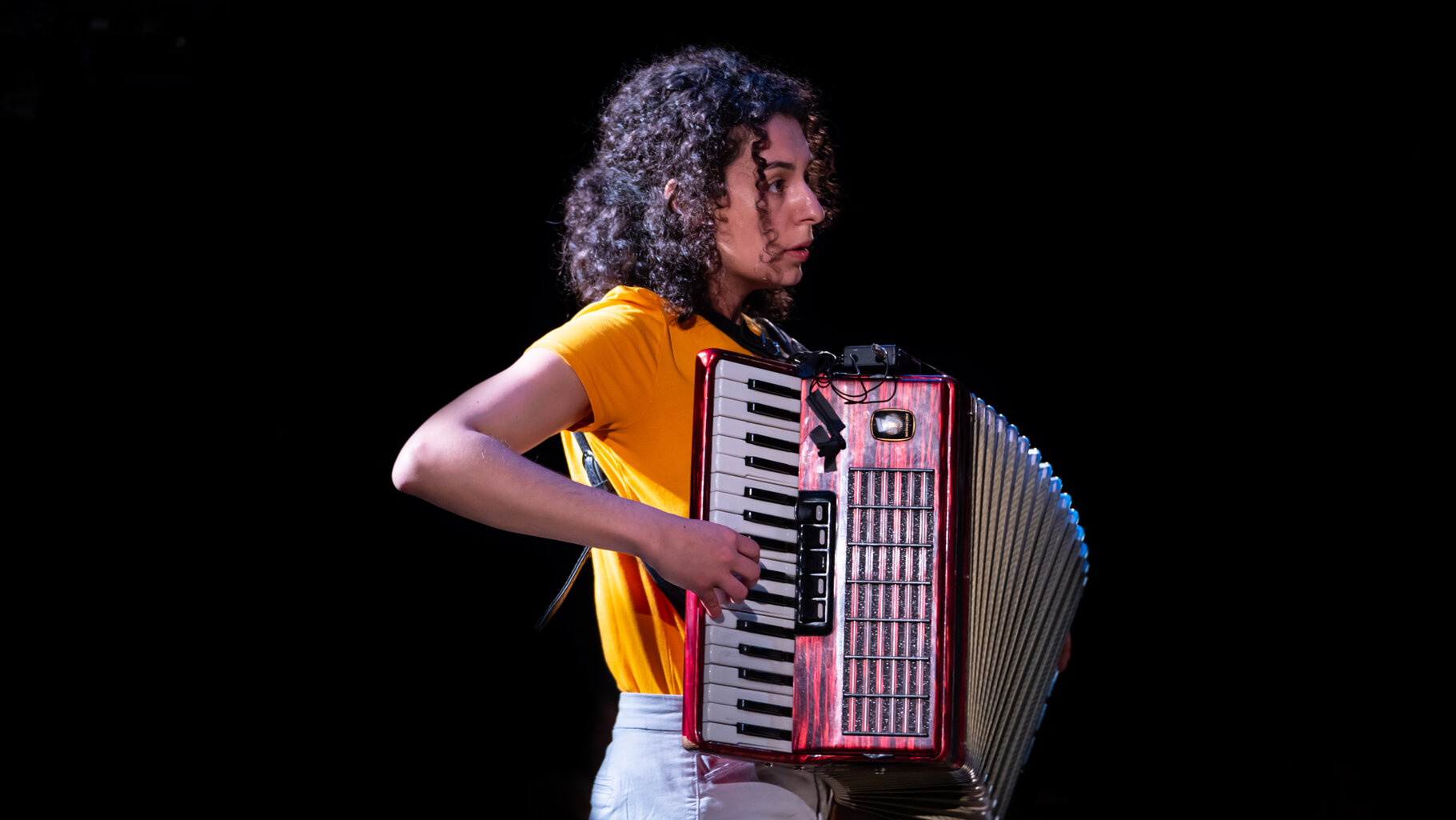 solo accordéon.jpeg