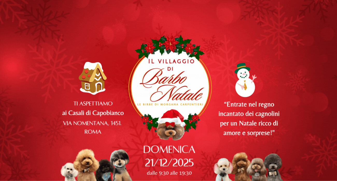 sfondo natale - sito (2) 61615165