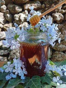 eyJpdCI6ImFyIG9mIGFydGlzYW5hbCBFdG5hIGhvbmV5IGRpc3BsYXllZCBhZ2FpbnN0IGEgdHJhZGl0aW9uYWwgYmxhY2sgdm9sY2FuaWMgc3RvbmUgd2FsbCBpbiBTaWNpbHkuIn0=