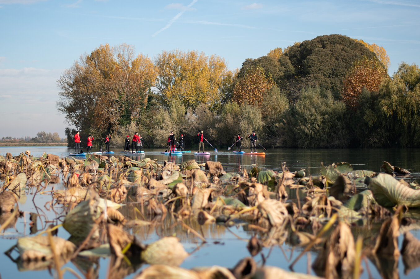 social forse_whatsup mn-149.jpeg