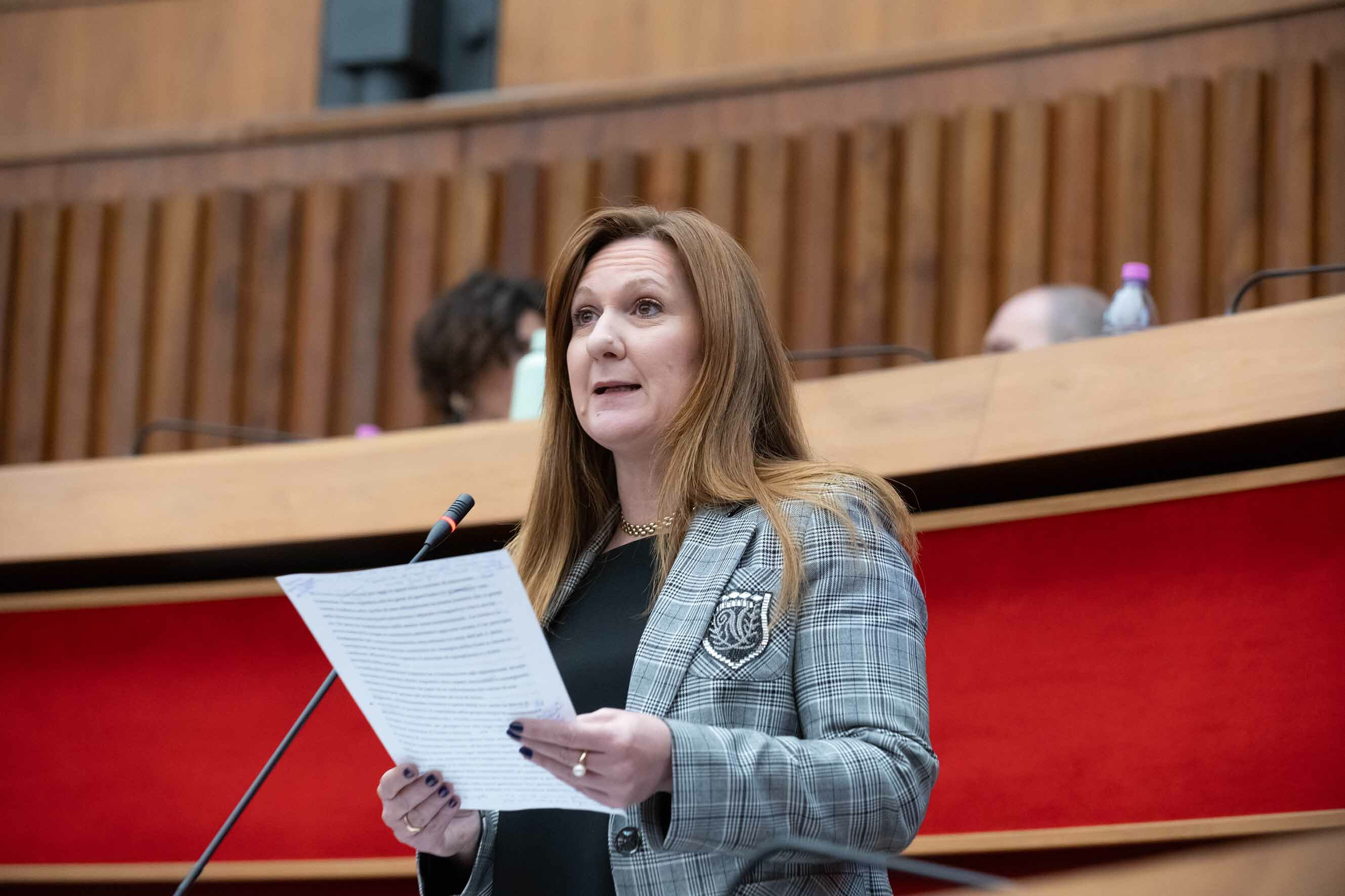 Il mio intervento in Aula rispetto alla mozione di sfiducia all'Assessore Gerosa Il mio intervento in Aula rispetto alla mozione di sfiducia all'Assessore Gerosa