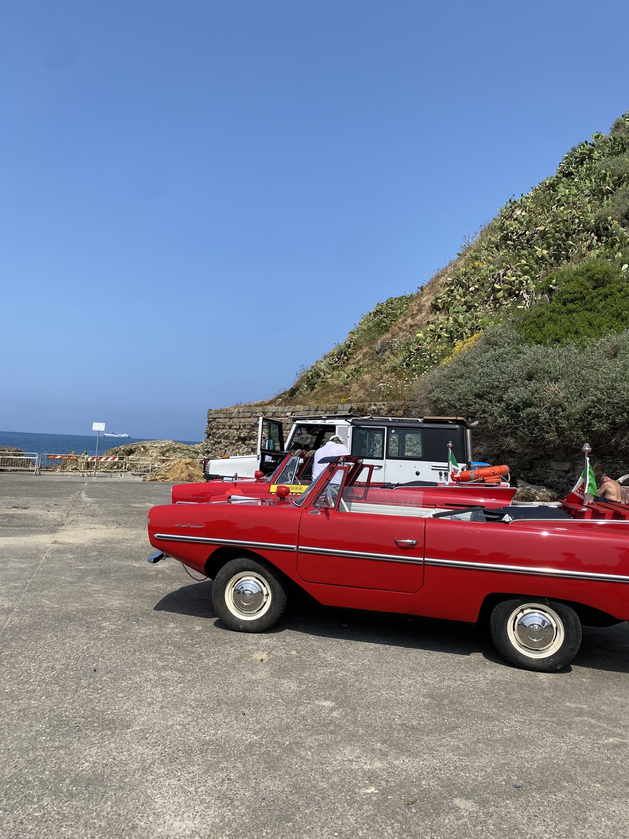 img_8569.jpeg img_8569.jpeg