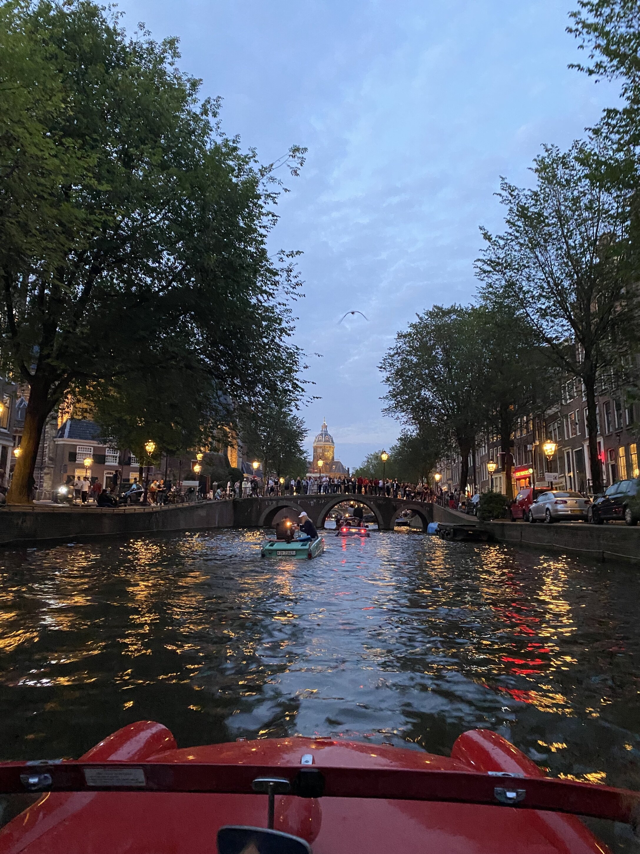 img_9969.jpeg img_9969.jpeg