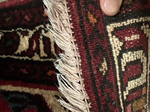 img_8011.jpeg