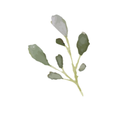 striscia_foglie esempio (1)