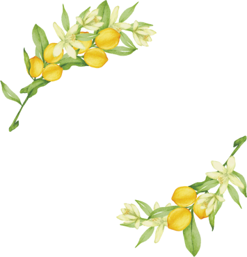 limoni dettaglio