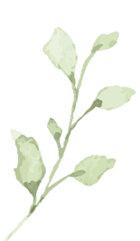 striscia_foglie esempio (5)