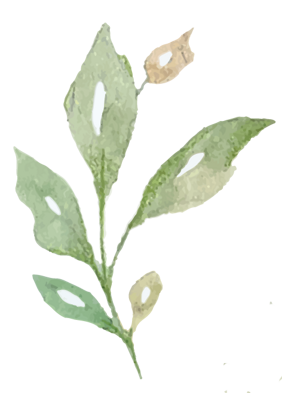 striscia_foglie esempio (1)