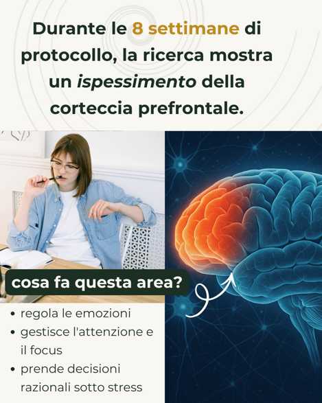 Natural mindfulness nuovo percorso