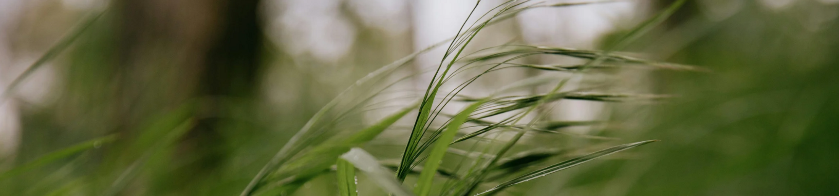 screenshot 2026-01-10 170304