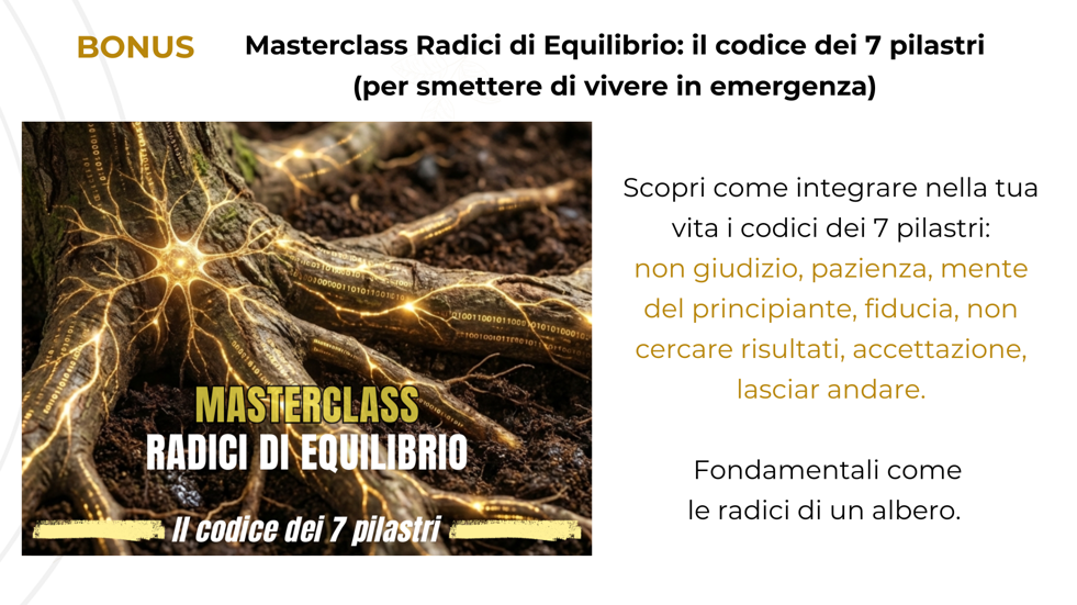 webinar il pilota atuomatico invisibile (7)