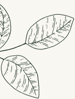 screenshot 2026-04-03 085729