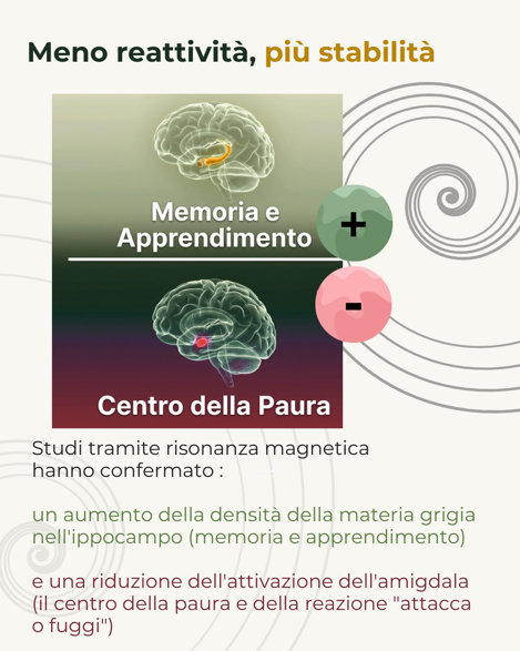 Natural mindfulness nuovo percorso
