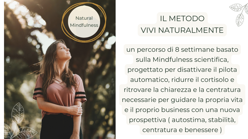 webinar il pilota atuomatico invisibile (4)