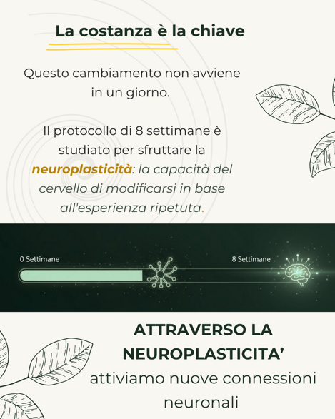Natural mindfulness nuovo percorso