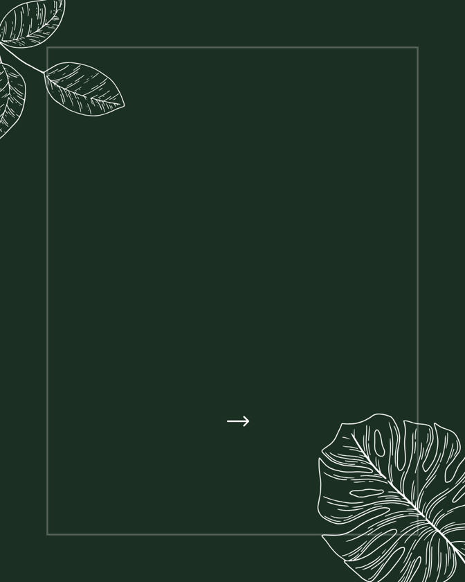 intro