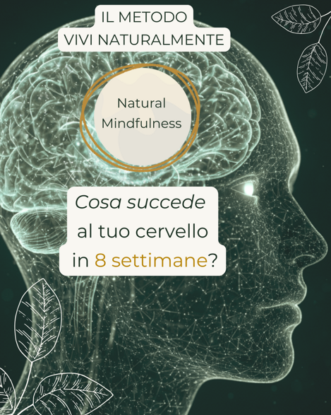 Natural mindfulness nuovo percorso
