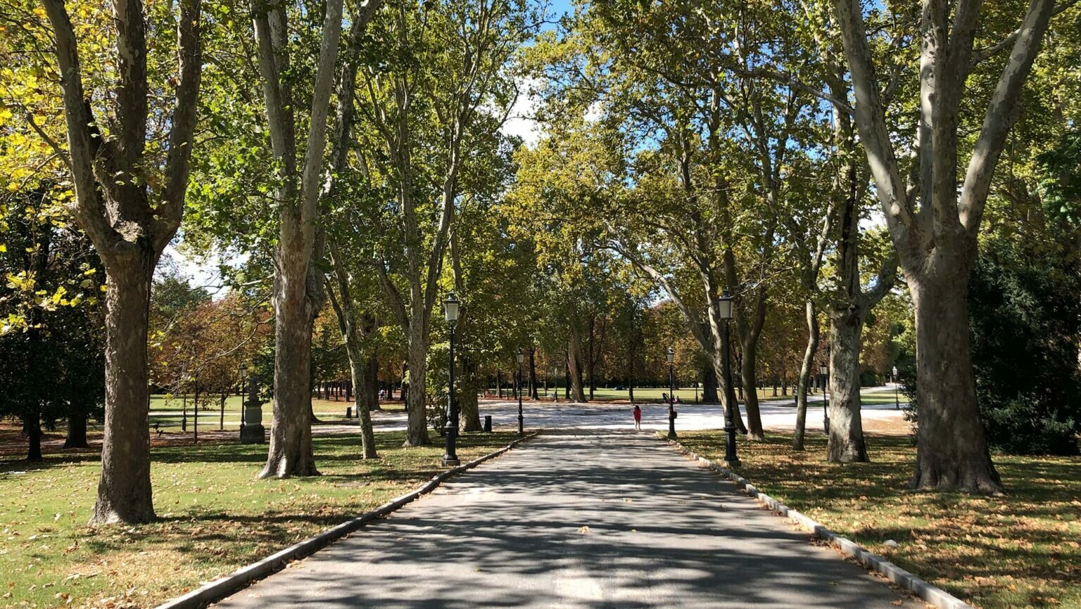 parco-ducale-parma-1536x866.jpeg parco-ducale-parma-1536x866.jpeg