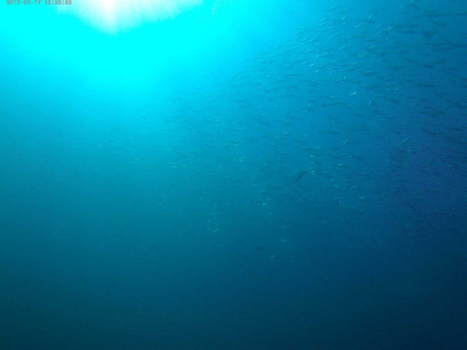 immagine whatsapp 2024-03-20 ore 11.51.01_8e8deff8.jpeg