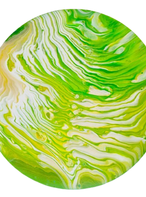 mare%20verde%20foresta%20congo%2045senza%20sfondo mare%20verde%20foresta%20congo%2045senza%20sfondo