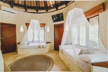 copia de 1l1a0852.jpeg copia de 1l1a0852.jpeg