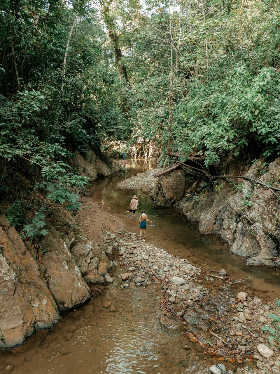 Turismo Ecológico y de Bienestar — Un Laboratorio Vivo para la Regeneración del Ser y el Territorio