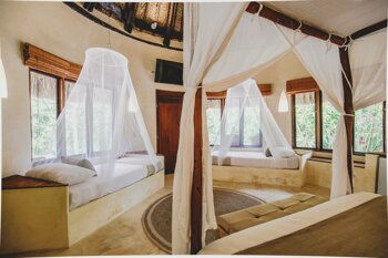 copia de 1l1a0840.jpeg copia de 1l1a0840.jpeg