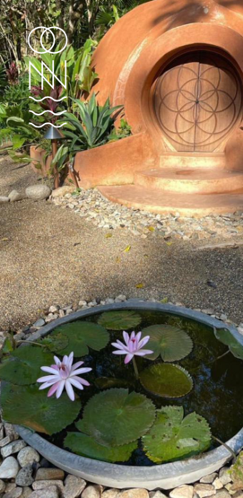 Vive el saber ancestral Vive el saber ancestral