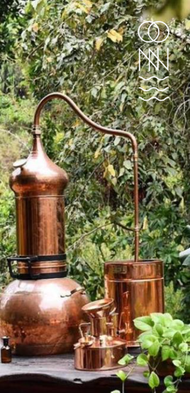 Vive el saber ancestral Vive el saber ancestral