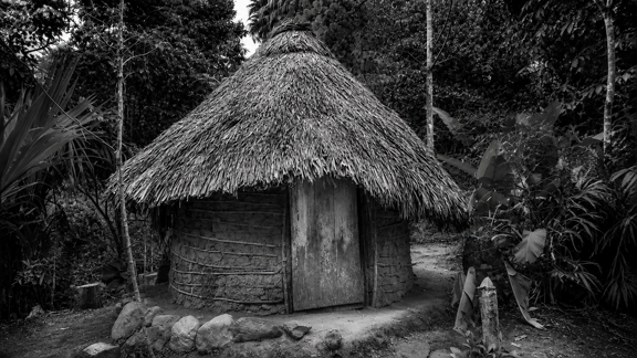 land of the kogui 3