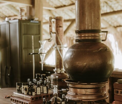 eyJlcyI6InByb2Nlc28gZGUgZWxhYm9yYWNp824gZGUgZXNjZW5jaWFzIC0gT25lIFNhbnR1YXJpbyJ9 eyJlcyI6InByb2Nlc28gZGUgZWxhYm9yYWNp824gZGUgZXNjZW5jaWFzIC0gT25lIFNhbnR1YXJpbyJ9