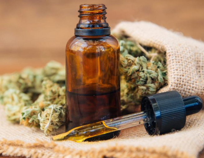 Encuentro medicina del vientre Encuentro medicina del vientre