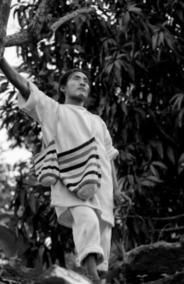 lland of the kogui photo 13