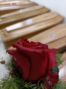 img202107311609351