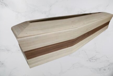 1000171682-removebg-preview (1).jpeg