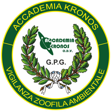 logo senza fondo.jpeg