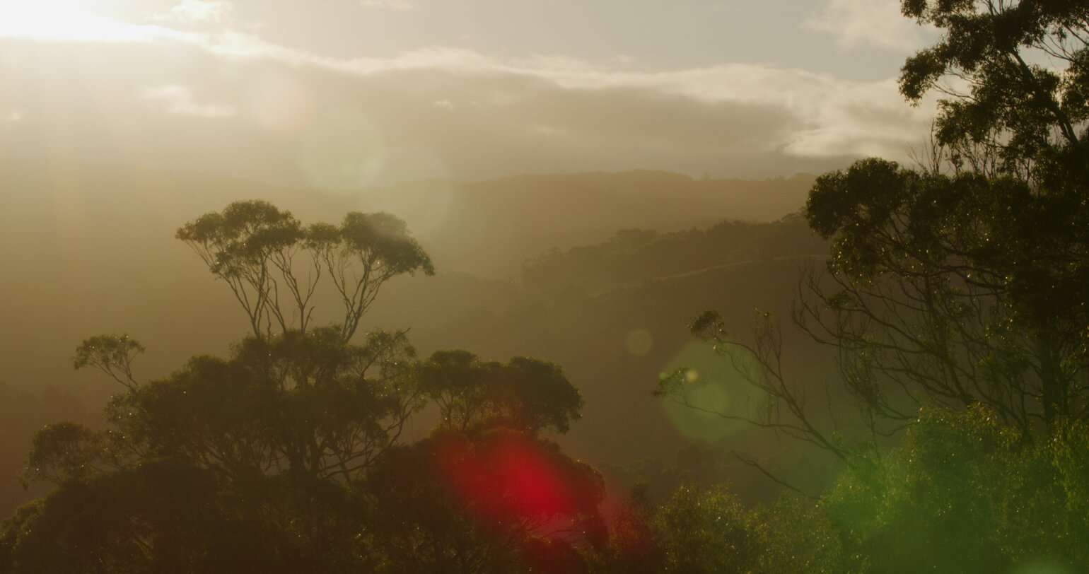 tramonto con lente.jpeg