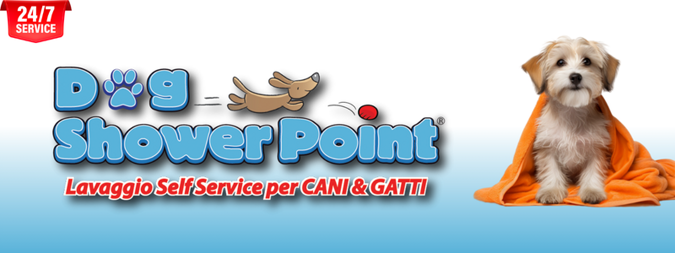 noleggio - sito 2 (2)