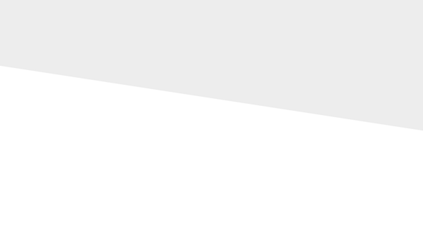 il noleggio su misura per te (2)