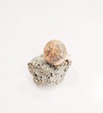 anello-cabochon-diaspro